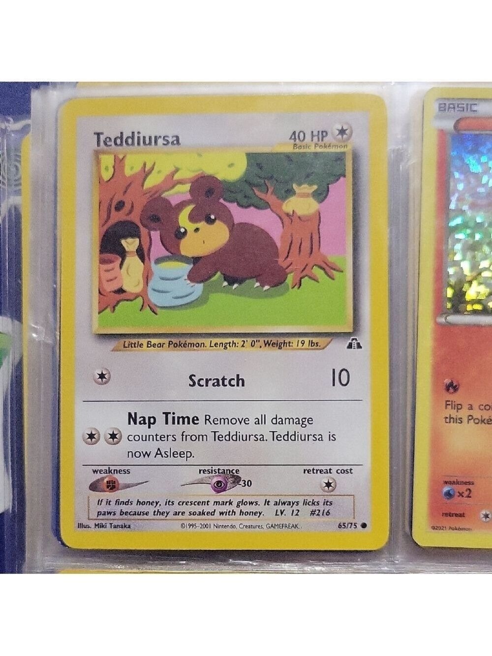 Pokémon Card Teddiursa